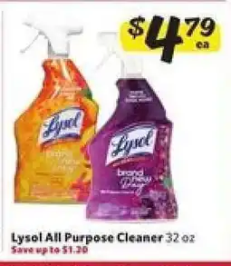 Winn Dixie Lysol All-Purpose Cleaner offer