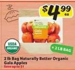 Winn Dixie 2 lb Bag Naturally Better Organic Gala Apples offer