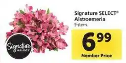 Safeway Signature Select Alstroemeria offer