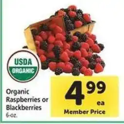 Safeway Organic Raspberries or Blackberries offer