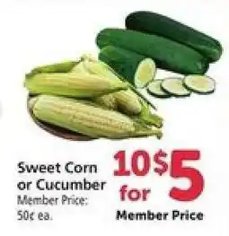 Safeway Sweet Corn or Cucumber offer