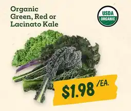 Sprouts Farmers Market Organic Green, Red or Lacinato Kale offer