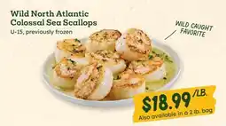 Sprouts Farmers Market Wild North Atlantic Colossal Sea Scallops offer
