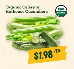 Sprouts Farmers Market Organic Celery or Hothouse Cucumbers offer