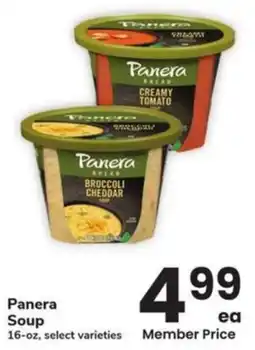 Albertsons Panera Soup offer