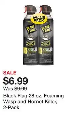 Tractor Supply Company Black Flag 28 oz. Foaming Wasp and Hornet Killer, 2-Pack offer