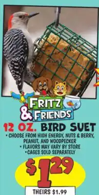 Ollie's FRITZ & FRIENDS BIRD SUET offer