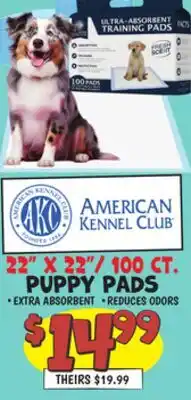 Ollie's PUPPY PADS offer