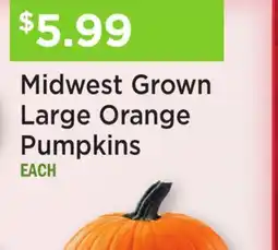 Heinen's Midwest Grown Large Orange Pumpkins offer