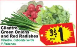 Superior Grocers Cilantro, Green Onions and Red Radishes offer