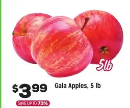Grocery Outlet Gala Apples, 5 lb offer