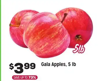Grocery Outlet Gala Apples, 5 lb offer