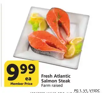 Vons Fresh Atlantic Salmon Steak offer
