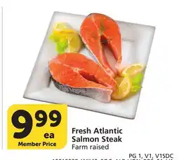 Albertsons Fresh Atlantic Salmon Steak offer