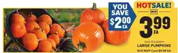 Food Lion Jack-O-Lantern Large Pumpkins offer