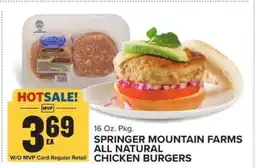 Food Lion Springer Mountain Farms All Natural Chicken Burgers offer