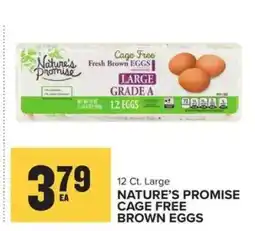 Food Lion Nature's Promise Cage Free Brown Eggs offer