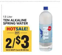 Food Lion TEN Alkaline Spring Water offer
