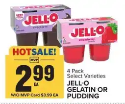 Food Lion Jell-O Gelatin or Pudding offer