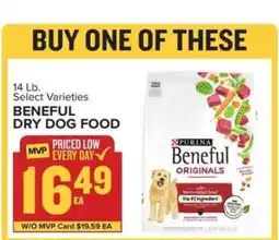 Food Lion Beneful Dry Dog Food offer