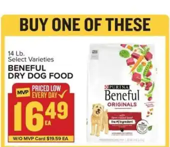 Food Lion Beneful Dry Dog Food offer