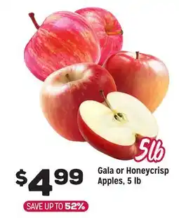 Grocery Outlet Gala or Honeycrisp Apples, 5 lb offer