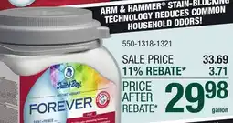 Menards ARM & HAMMER STAIN-BLOCKING TECHNOLOGY REDUCES COMMON HOUSEHOLD ODORS! offer