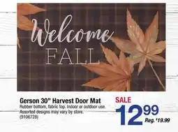 Ace Hardware Gerson 30 Harvest Door Mat offer