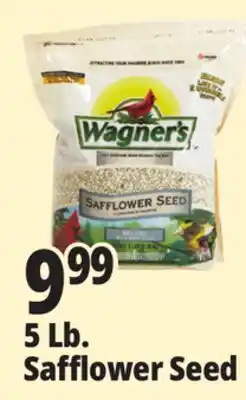 Ocean State Job Lot Wagner's Safflower Seed Deluxe Wild Bird Food offer