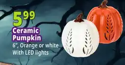 Ocean State Job Lot Ceramic Pumpkin offer