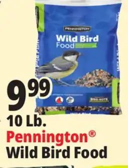Ocean State Job Lot Pennington Wild Bird Food 10 lbs offer