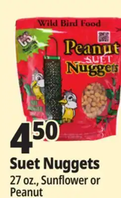 Ocean State Job Lot Suet Nuggets offer
