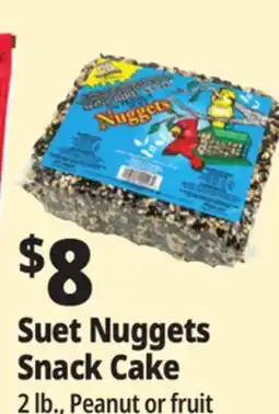 Ocean State Job Lot C&S EZ Fill Suet Cake or Snak Feeder offer