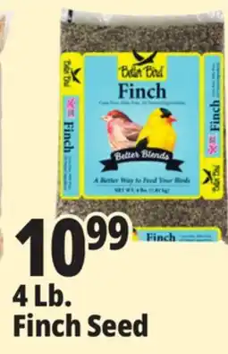 Ocean State Job Lot Better Bird Finch Bird Food 4 lbs offer