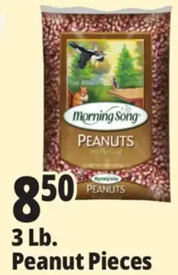 Ocean State Job Lot Morning Song Wildlife Food Peanuts 3 lbs offer