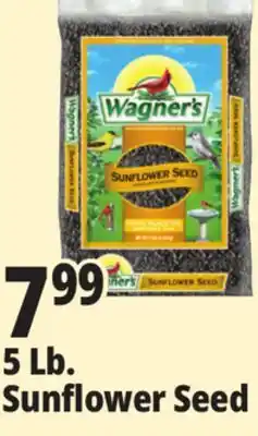 Ocean State Job Lot Wagner's Black Oil Sunflower Seed Wild Bird Food 5 lbs offer