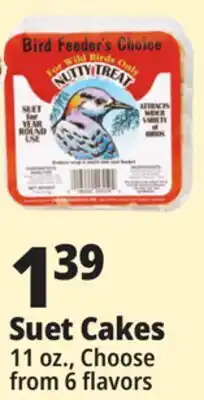 Ocean State Job Lot Bird Feeder's Choice High Energy Suet 11 oz offer