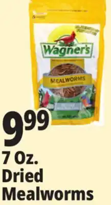 Ocean State Job Lot Wagner's Bird Meal Worms 7oz offer