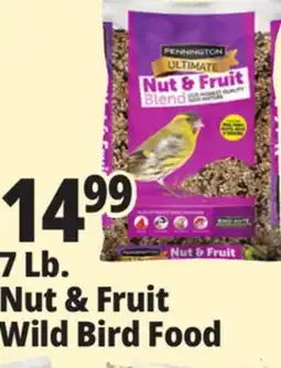 Ocean State Job Lot Pennington Ultimate Nut & Fruit Blend Wild Bird Seed 7 lbs offer