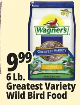 Ocean State Job Lot Wagner's Greatest Variety Deluxe Wild Bird Food 6 lbs offer