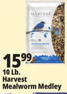 Ocean State Job Lot Harvest Seed & Supply Mealworm Medley Wild Bird Food 10 lb offer
