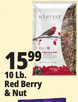 Ocean State Job Lot Harvest Seed & Supply Red Berry & Nut Wild Bird Food 10 lb offer
