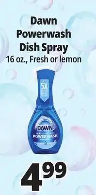 Ocean State Job Lot Dawn Platinum Plus Power wash Dish Spray 16 oz offer