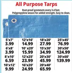 Ocean State Job Lot All Purpose Tarps offer