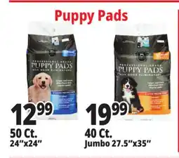 Ocean State Job Lot Puppy Pads offer