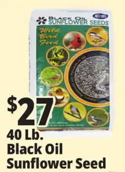 Ocean State Job Lot Black Oil Sunflower Seeds 40 lbs offer