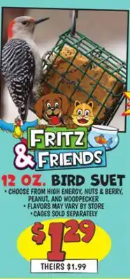 Ollie's Fritz & Friends 12 OZ. BIRD SUET offer
