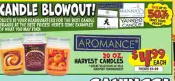 Ollie's 20 OZ. HARVEST CANDLES offer