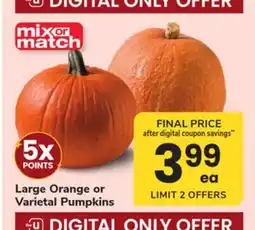 ACME Large Orange or Varietal Pumpkins offer