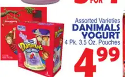 Bravo Supermarkets DANIMALS YOGURT offer
